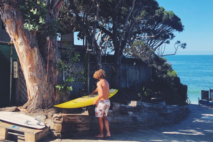 a person standing in front of a tree